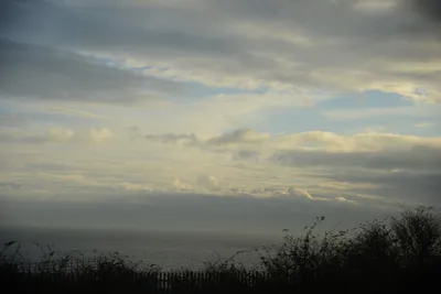 DSC_1339 (Large).JPG